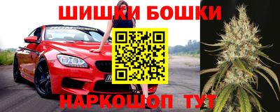 винт Кингисепп