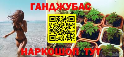 прущие крисы Кимры