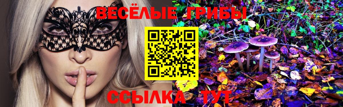 Псилоцибиновые грибы мицелий Кстово