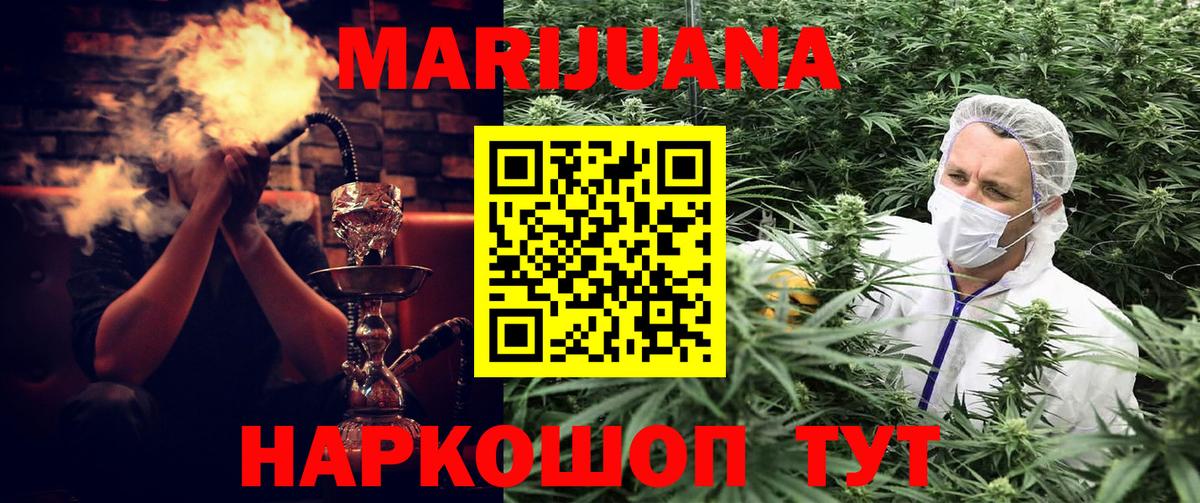 Конопля конопля Кстово
